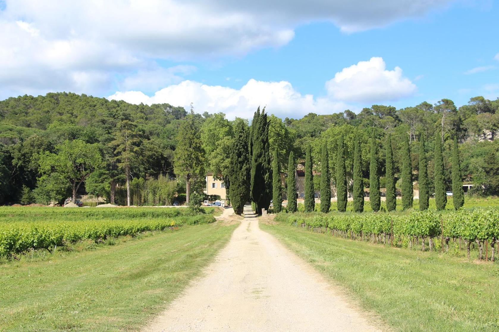 Chateau De L'Olivete Cornillon Exteriör bild
